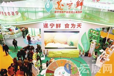 中国农交会：川字金招牌引领蜀地农业再创辉煌