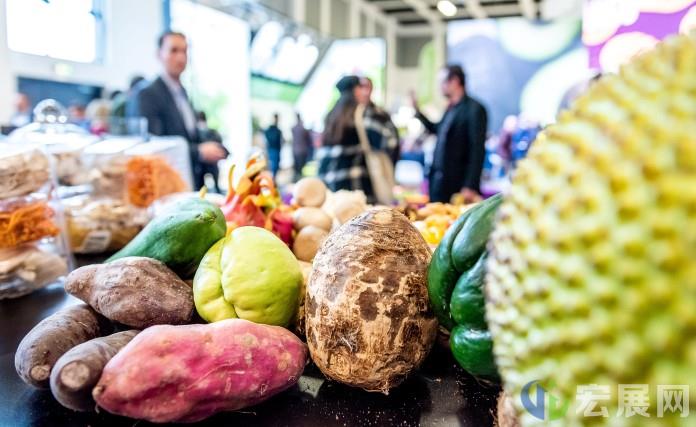 2023德国柏林果蔬展：比以往任何时候都更有价值